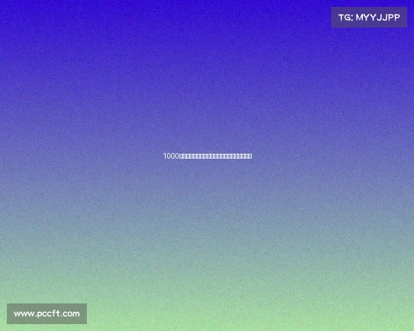 1000天帕萨特相伴:从选车到用车,真实体验全分享 1000天帕萨特相伴:从选车到用车,真实体验全分享