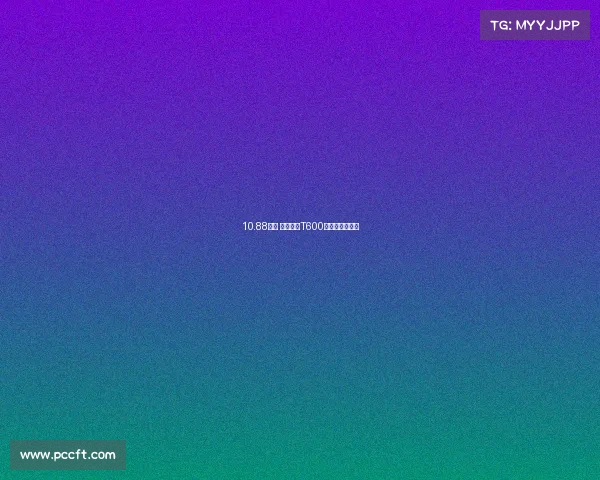 10.88万起 众泰推出T600汽车之家定制版