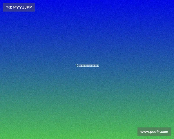 10万公里本田飞度实车燃油宝测评