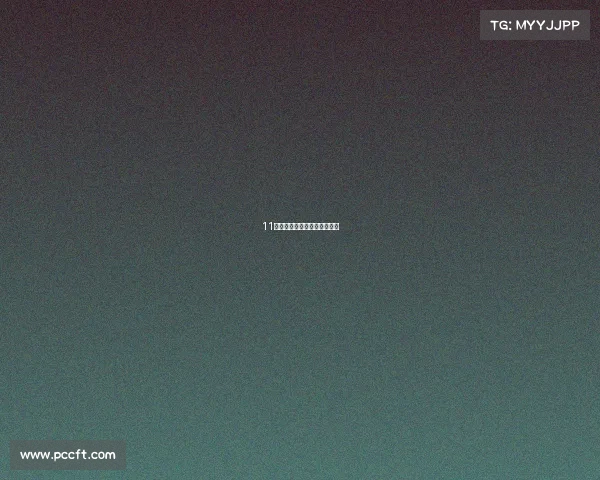 11米加长悍马实拍:内部真奢华